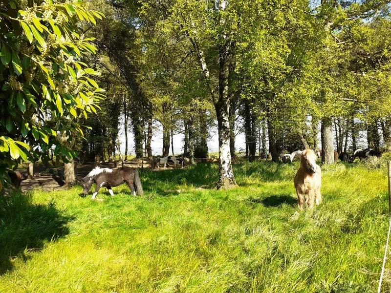 Maison de domaine équestre - 1 m²