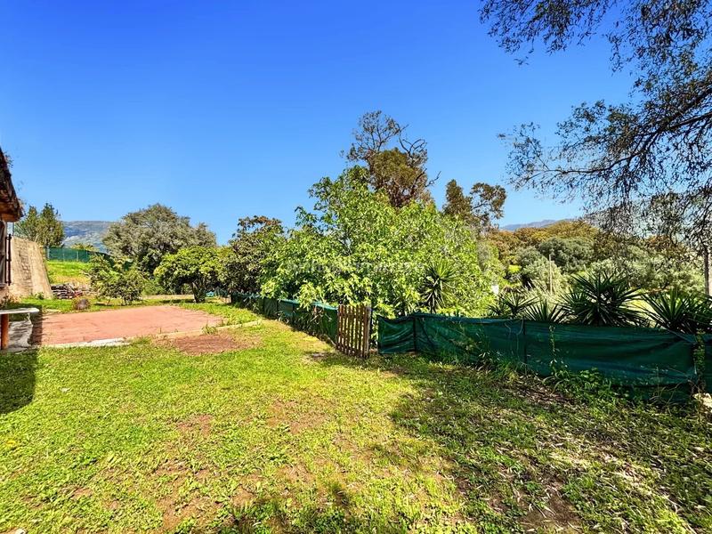 Appartement - 110 m² - 4 pièces