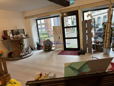 Local commercial - 50 m² - 1 pièce