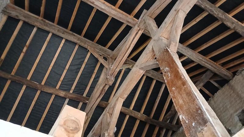 Moulin - 200 m² - 6 pièces