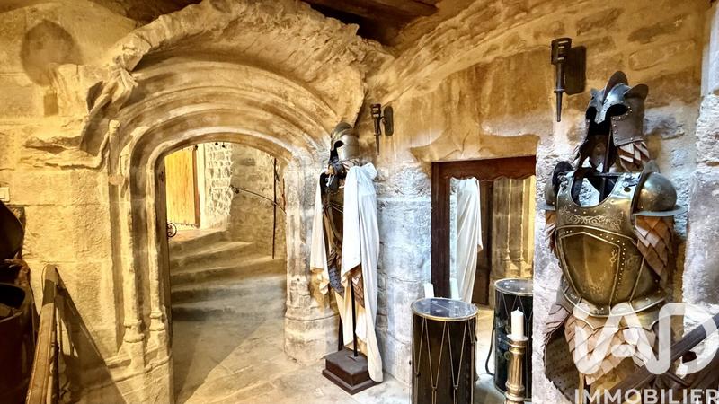 Château - 394 m² - 10 pièces