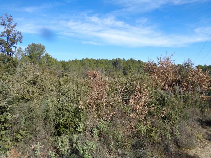 Terrain - 10 328 m²