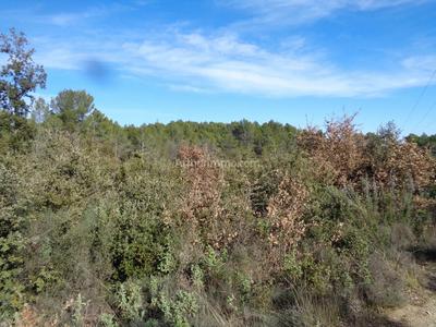 Terrain - 10 328 m²