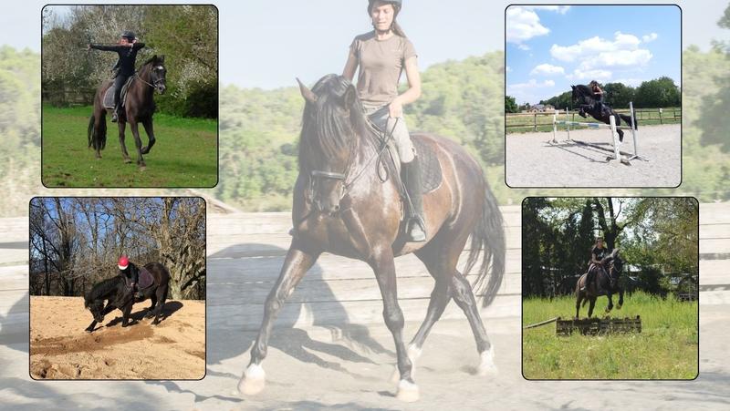 Stage : Tir à l'arc