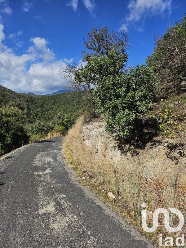 Terrain - 18 305 m²