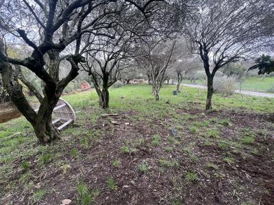 Maison - 136 m² - 5 pièces