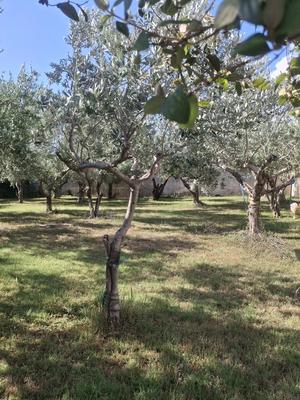 Terrain constructible - 409 m²