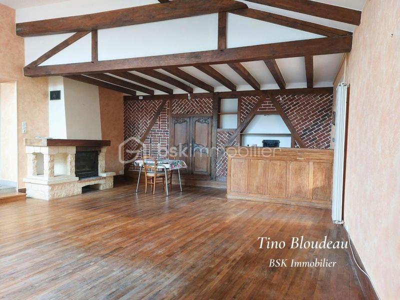 Maison ancienne - 305 m² - 13 pièces