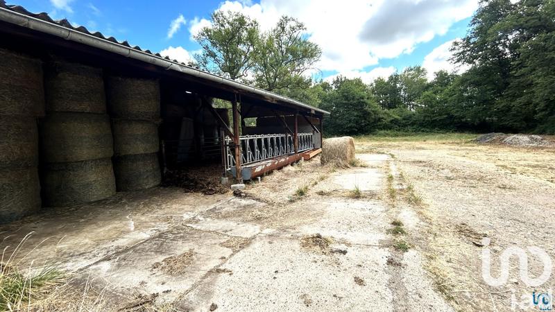 Terrain agricole - 9 750 m²