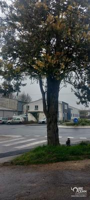 Local commercial - 35 m²