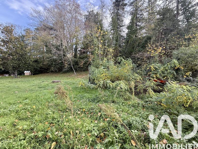 Terrain - 1 165 m²