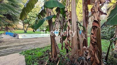 Maison en pierre - 160 m² - 8 pièces