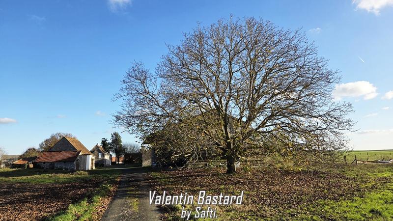 Maison - 114 m² - 6 pièces