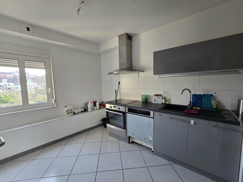 Appartement - 54 m² - 2 pièces