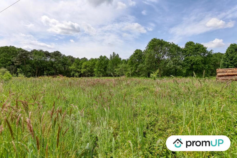 Terrain de loisirs - 4 000 m²