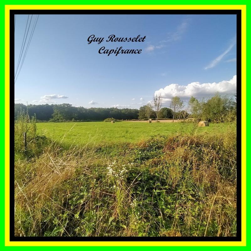 Terrain constructible - 1 497 m²