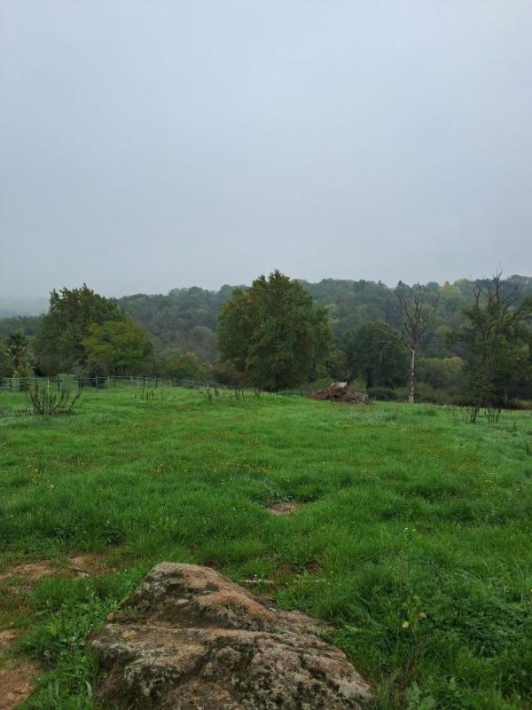 Terrain constructible - 8 588 m²