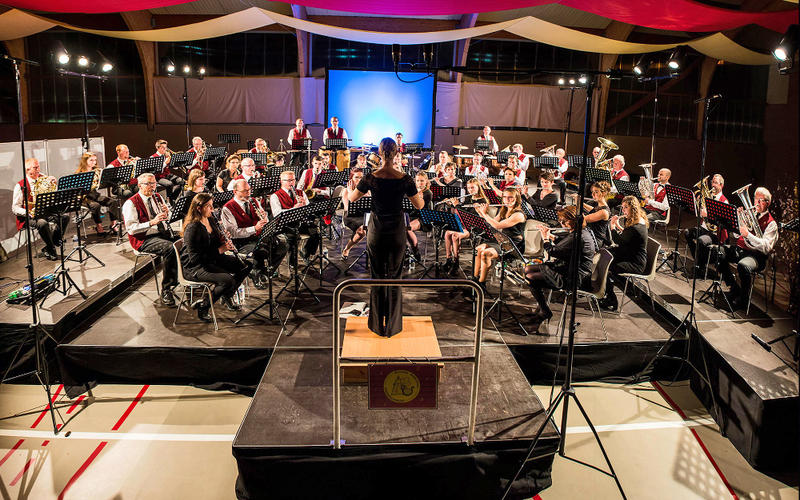 Concert de printemps de l'harmonie "Amalrici Villare"