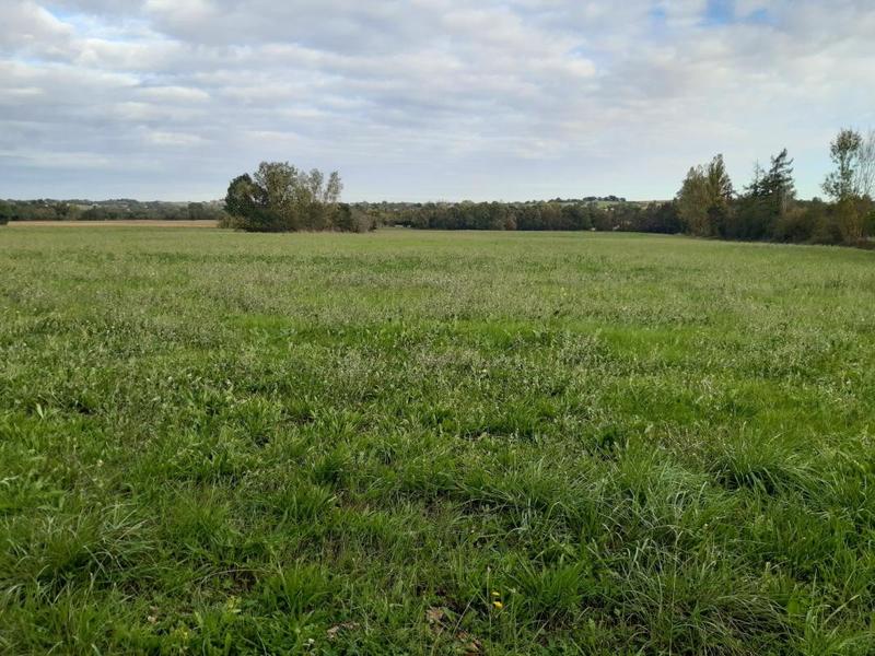 Corps de ferme - 205 m² - 6 pièces