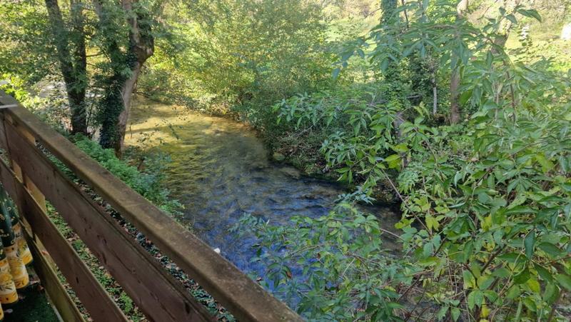 Maison - 496 m² - 11 pièces