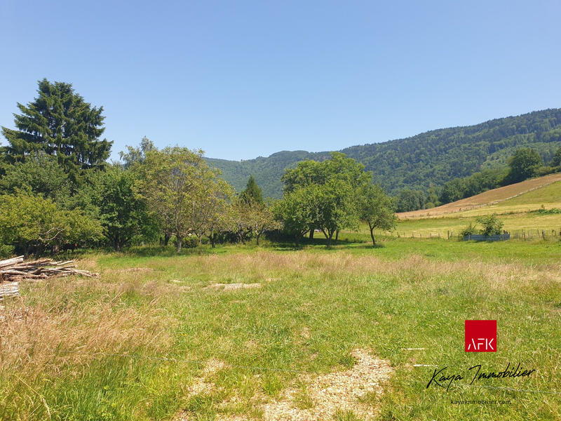 Terrain - 3 950 m²