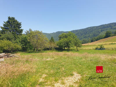 Terrain - 3 950 m²
