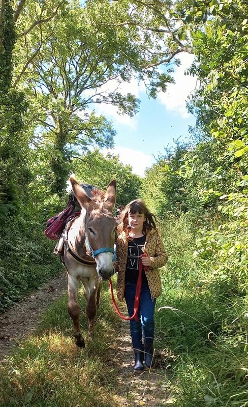 Découverte du bocage avec un âne du Cotentin