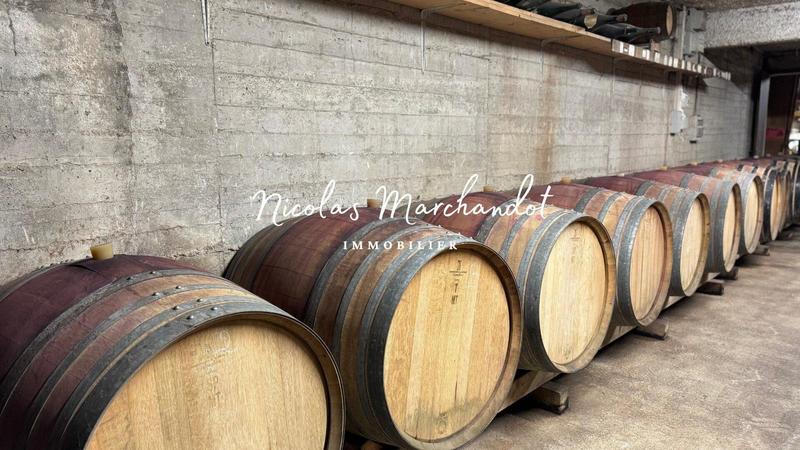 Local commercial - 130 900 m²