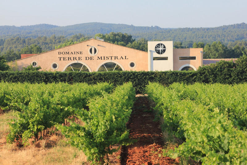 Visite guidée du vignoble Terre de Mistral, suivie d'une dégustation