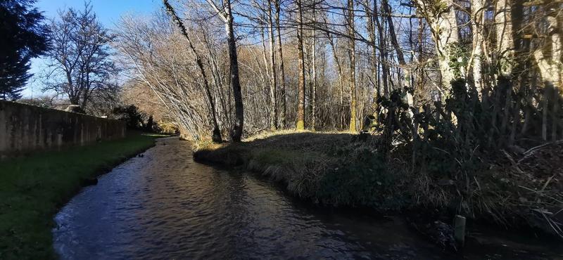 Maison - 370 m² - 10 pièces