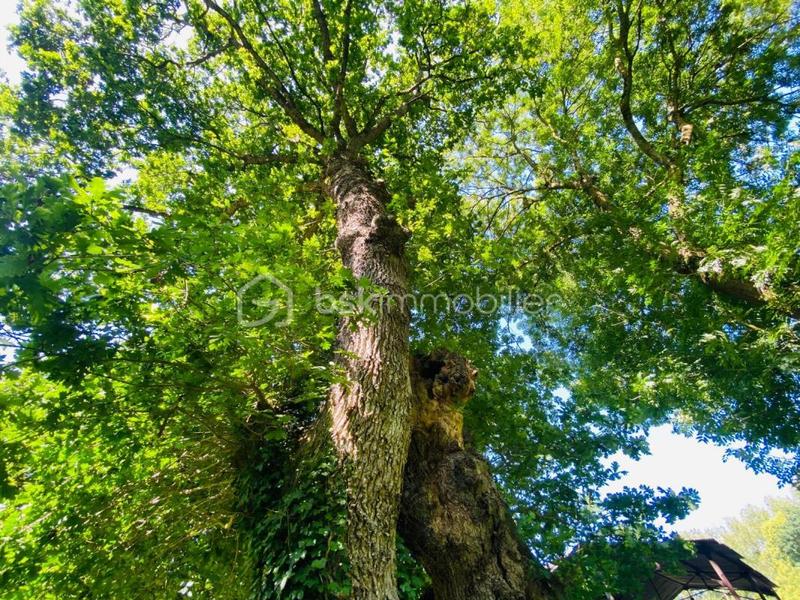 Maison ancienne - 108 m² - 6 pièces