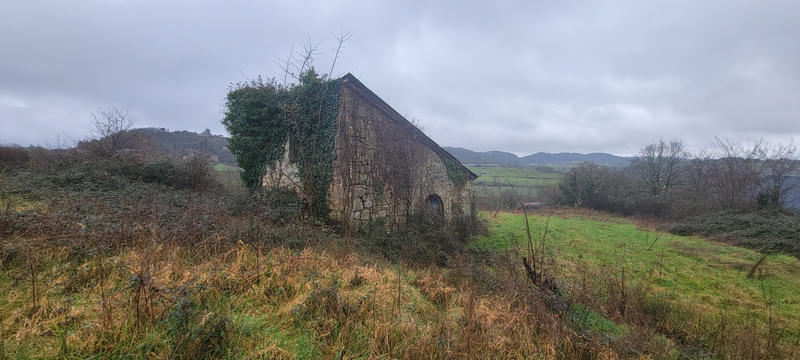 Terrain - 15 305 m²