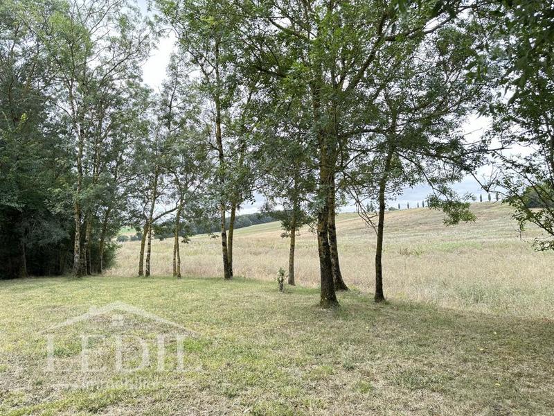 Terrain - 2 799 m²