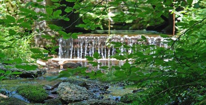 Propriété - 1 000 m² - 15 pièces