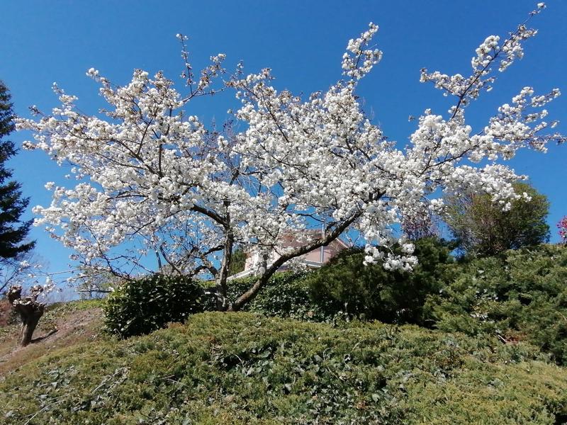 Maison - 156 m² - 6 pièces