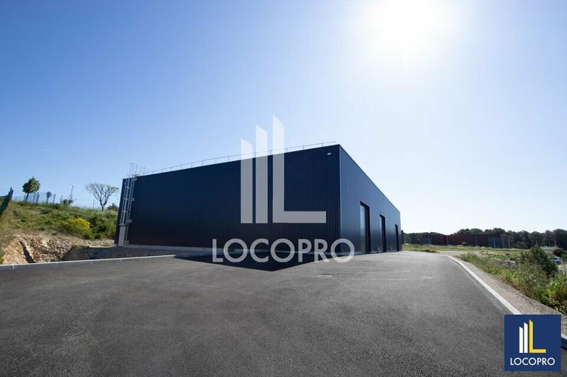 Local d'activité / Entrepôt - 1 255 m²