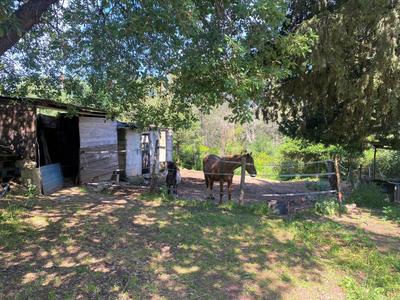 Maison - 116 m² - 4 pièces