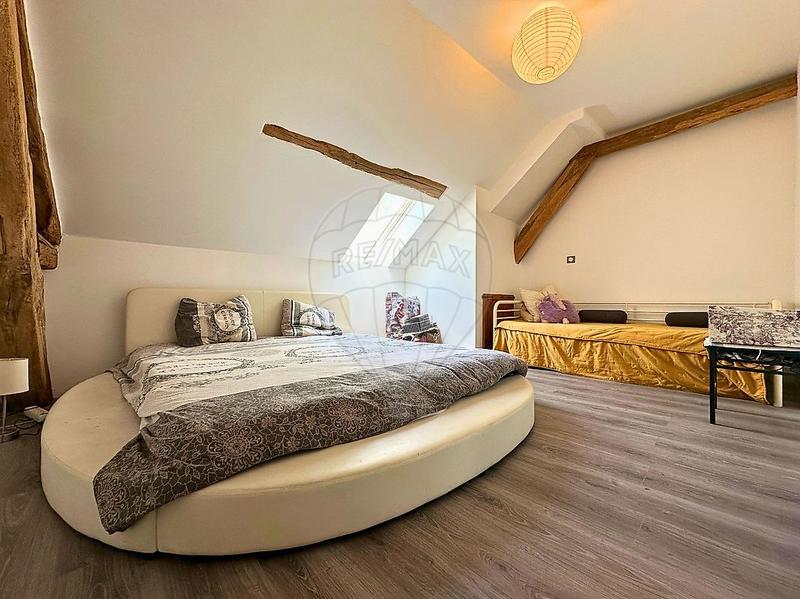 Maison - 522 m² - 13 pièces