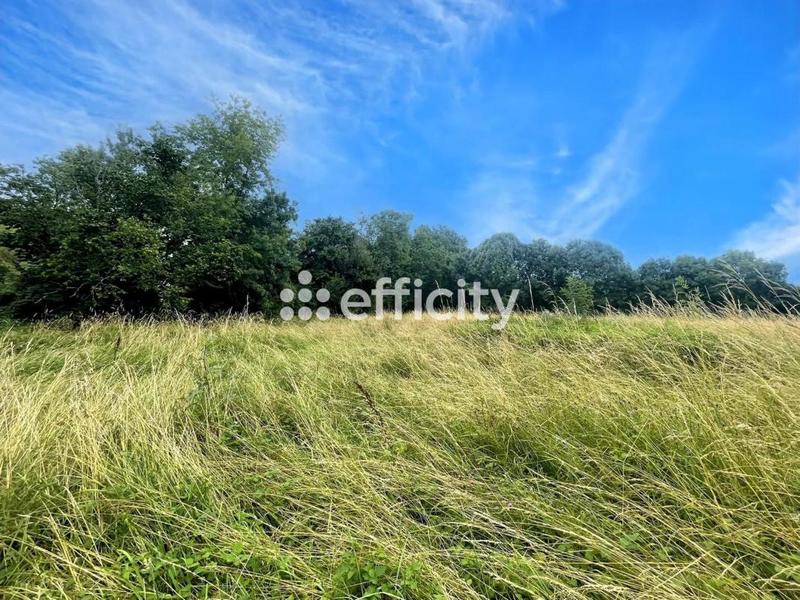 Terrain - 3 000 m²