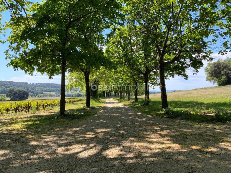 Château - 770 m² - 15 pièces