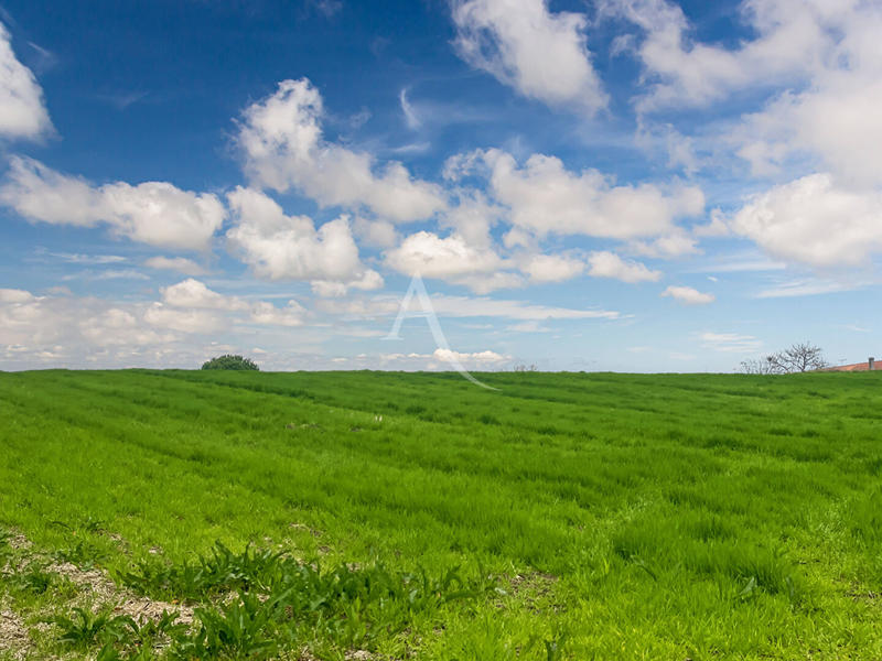 Terrain - 11 886 m²