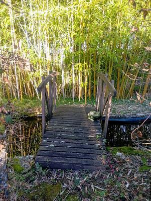 Longère - 156 m² - 8 pièces