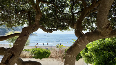 Local commercial - 900 m²