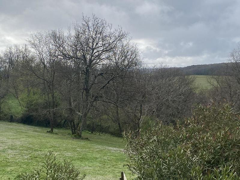 Demeure - 230 m² - 6 pièces