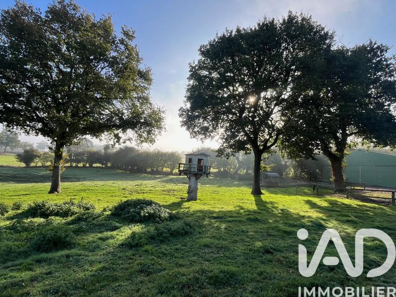 Maison de campagne - 166 m² - 5 pièces