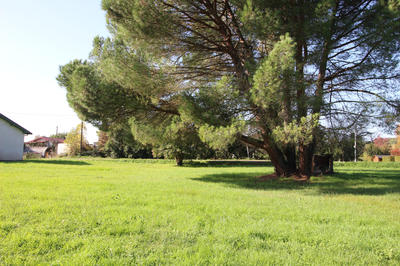 Terrain - 1 129 m²
