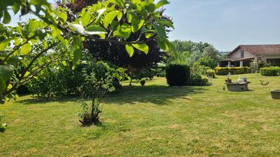 Propriété - 363 m² - 17 pièces