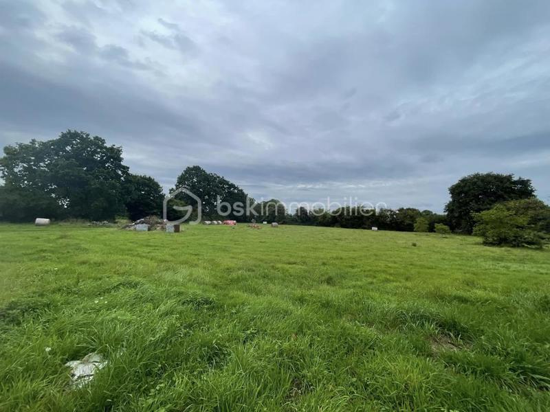 Maison en pierre - 158 m² - 7 pièces