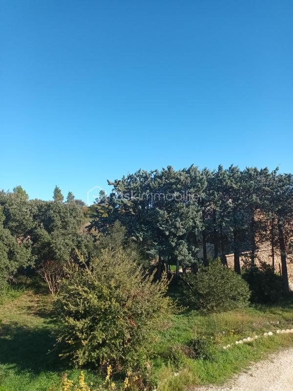 Maison traditionnelle - 248 m² - 9 pièces