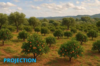 Fonds de commerce - Local commercial - 10 000 m²